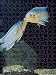 Jigsaw of AEB-2715 LAKE MALAWI FISH - mouth fighting between territorial males from Ardea