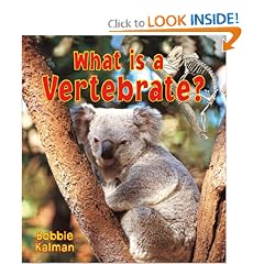 What Is a Vertebrate? (Big Science Ideas)