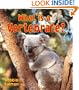 What Is a Vertebrate? (Big Science Ideas)