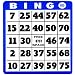Low Vision Bingo Cards