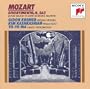 Divertimento in E-flat Major for String Trio, K. 563: I. Allegro (Instrumental)