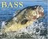 Bass 2008 Calendar