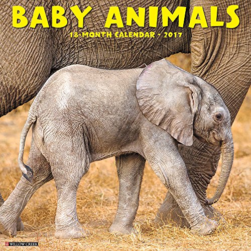 Baby Animals 2017 Wall Calendar