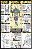 Weight Training Stretches 24 X 36 Laminated Chart