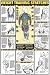 Weight Training Stretches 24