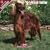 Irish Setter 2009 Wall Calendar