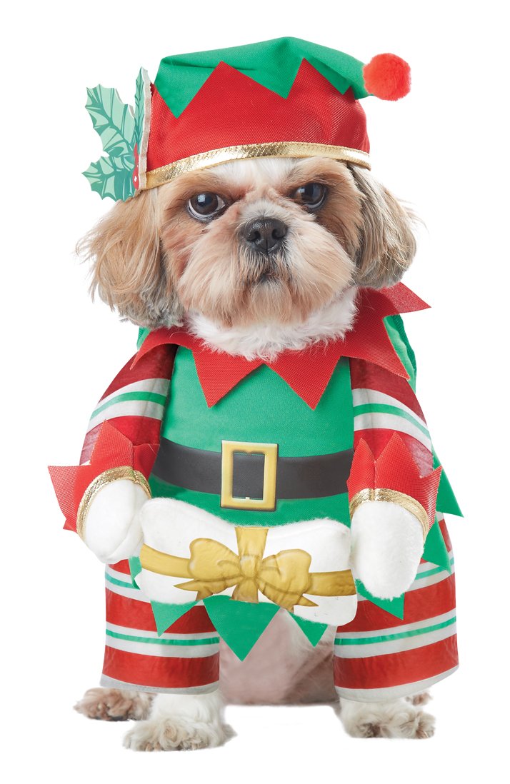 Dog Elf Costume