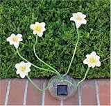 SohoDecor Decorative Garden Lily Solar Lights , 5 LEDs version