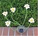 SohoDecor Decorative Garden Lily Solar Lights , 5 LEDs version