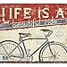 Legacy Publishing Group 2016 Mini Wall Calendar, Life is a Beautiful Ride (MCA19028)