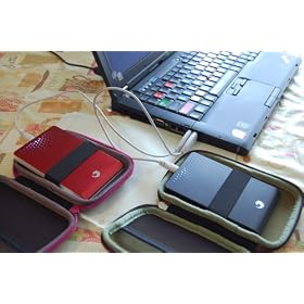 Seagate FreeAgent Go USB 2.0 Portable External Hard Drive