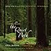 Celtic Harp: The Quiet Path