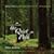 Celtic Harp: The Quiet Path