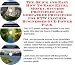 The Down and Dirty Earn More Money, Marketing and Inner Game for RTW Clothes On-line ...