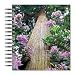 ECOeverywhere Redwood Sun Rays Picture Photo Album, 18 Pages, Holds 72 Photos, 7.75 x 8.75 Inches, Multicolored (PA12137)