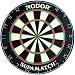 Nodor SupaMatch Bristle Dartboard