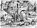 Pieter Brueghel (Drawing on the 