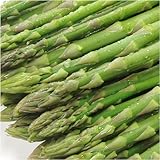 ��k�C���r���Y�≺������̃O���[���A�X�p��S�`M�T�C�Y����1�D5Kg�i������ƍׂ߂̂�����p���������i�j�ᑗ��������