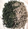 1000 Army Men Toy Soldiers Great for Boys. NOT Repackaged! FREE Camo 6 Inch Wind Up Crawling Soldier with weapons