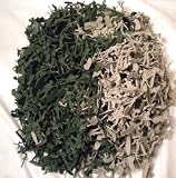 1000 Army Men Toy Soldiers Great for Boys. NOT Repackaged! FREE Camo 6 Inch Wind Up Crawling Soldier with weapons