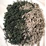 1000 Army Men Toy Soldiers Great For Boys!