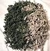 1000 Army Men Toy Soldiers Great for Boys