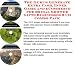 Book The Guru's Generate Extra Cash, Inner Game and eCommerce for Bridal Shower Gifts Businesses 3 CD Combo Pack