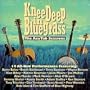 Knee Deep in Bluegrass