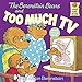 The Berenstain Bears and Too Much TV (First Time Books(R)) RS.125.00