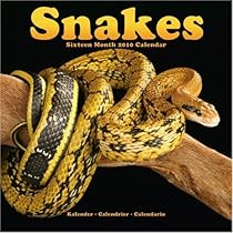 SNAKES 2010 Wall Calendar #30120-10