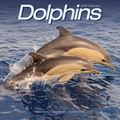 Dolphins Calendar - 2016 Wall calendars - Animal Calendar - Monthly Wall Calendar by Avonside