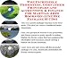 Search : The Incredible Promotion, Godfather Principles and Accounting & Finance for Martial Arts Books On-line Biz Package (3 CDs)