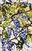 Wisteria Window Film 24-by-36-Inch