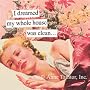 I Dreamed My Whole House Was Clean Magnet by anne taintor
