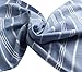 Cacala 100% Turkish Cotton Kitchen Tea Towels, Highly Absorbent Luxury Soft Quick Drying Dish Towel with Hanging Loop for Gym, Yoga, Bath, Sports, Cleaning and Kitchen (23 x 36), Grey Blue