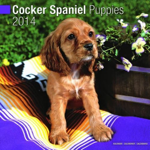 Cocker Spaniel Puppies 2014 Wall Calendar