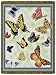 Butterflies Tapestry Throw Blanket