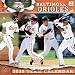 Baltimore Orioles 2010 Wall Calendar