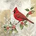 Heaven & Nature Sing Luncheon Napkin