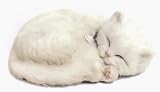 Perfect Petzzz White Shorthair Kitten Bundle