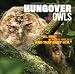 Hungover Owls 2012 Wall Calendar