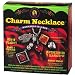 Crafty Chica Charm Necklace Workshop-in-a-Box