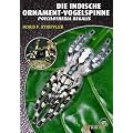 Die Indische Ornament-Vogelspinne: Poecilotheria Regalis. Art f�r Art
