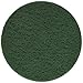 Festool 496508 Green Vlies Polishing Abrasive for 150mm Sanders, 10-Pack