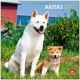 Akitas 2013 Square 12X12 Wall Calendar