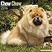 Chow Chow Calendar - Only Dog Breed Chow Chow Calendar - 2016 Wall calendars - Dog Calendars - Monthly Wall Calendar by Avonside