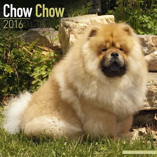 Chow Chow Calendar - Only Dog Breed Chow Chow Calendar - 2016 Wall calendars - Dog Calendars - Monthly Wall Calendar by Avonside