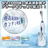 毎分18000回振動 音波式電動歯ブラシ※替えブラシ10個付
