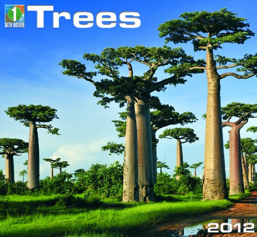 2012 Trees Wall calendar