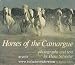 Horses of the Cam